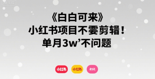小白可来 小红书项目不需要剪辑 单月3w不是问题-网创先锋