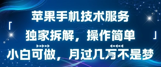苹果手机技术服务，独家拆解，操作简单，小白可做，月过1W不是梦-网创先锋