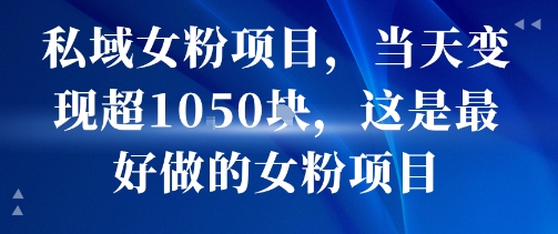 私域女粉项目，当天变现超1k，这是最好做的女粉项目，可放大操作-网创先锋