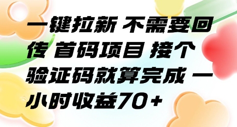 一键拉新 不需要回传 首码项目 接个验证码就算完成 一小时收益70+【揭秘】-网创先锋