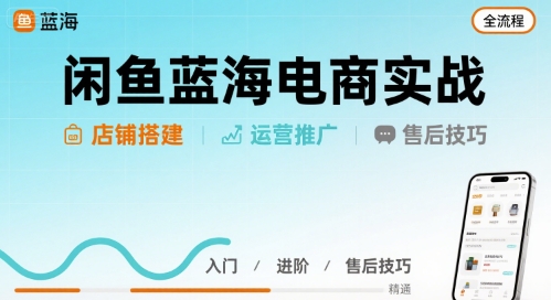 闲鱼蓝海电商实战，店铺搭建运营售后全流程-网创先锋