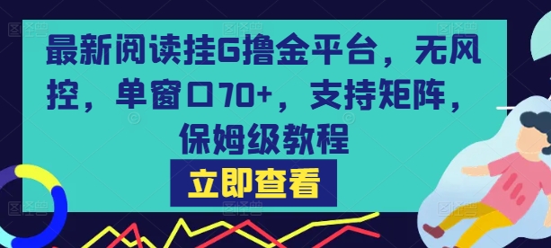 最新阅读挂G撸金平台，无风控，单窗口70+，支持矩阵，保姆级教程【揭秘】-网创先锋