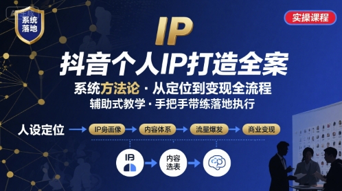 抖音个人IP系统落地实操大课，实操课程，辅助落地-网创先锋