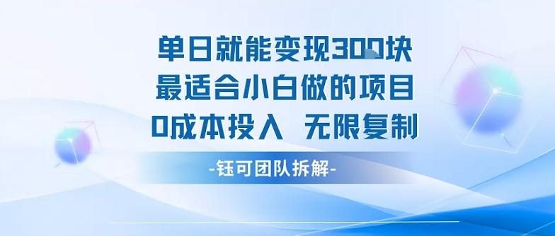 单日就能变现3张最适合小白做的项目0成本投入 无限复制-网创先锋