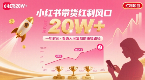一年时间靠小红书带货项目年入20w+，最不能错的大红利项目-网创先锋