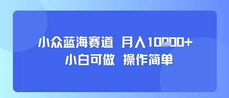 小众蓝海赛道，小白可做，操作简单，每天30分钟，月入1W+-网创先锋