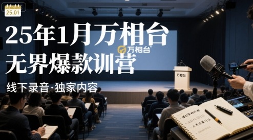 25年1月万相台无界爆款特训营线下录音-网创先锋