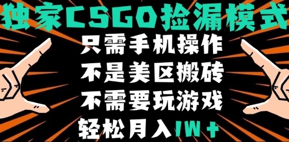 CSGO自动捡漏项目，最新独家玩法，不是美区搬砖，不需要了解和玩游戏，新手小白轻松月入1W+【揭秘】-网创先锋