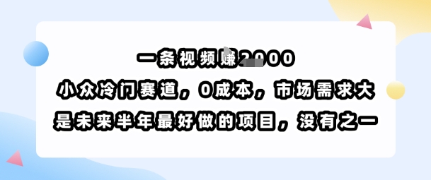 一条视频挣1k，小众冷门赛道，0成本，市场需求大，是未来半年最好做的项目，没有之一-网创先锋