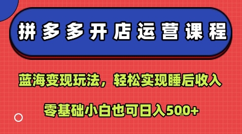 拼多多开店运营课程：蓝海变现玩法，轻松实现睡后收入，零基础小白也可日入5张-网创先锋