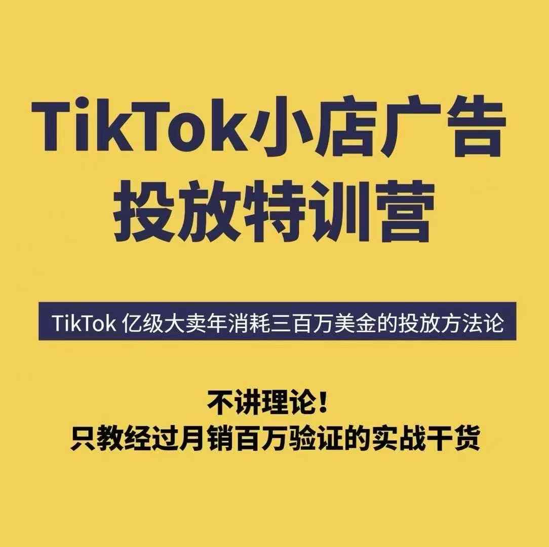 TikTok小店广告投放特训营，6天破局计划专治各种“投不动”，教你经过月销百万验证的实战干货-网创先锋