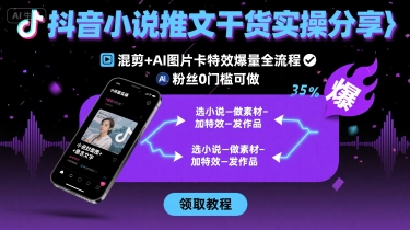 抖音小说推文干货实操分享，混剪+AI图片卡特效爆量全流程，0粉丝0门槛可做-网创先锋