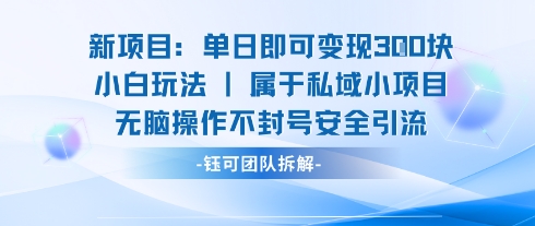 新项目单日即可变现3张的小白玩法无脑操作不封号安全引流-网创先锋