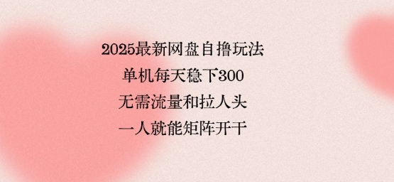 2025最新网盘自撸玩法，单机每天稳下3张，无需流量和拉人头，一个人就可轻松矩阵，全网独一份【揭秘】-网创先锋