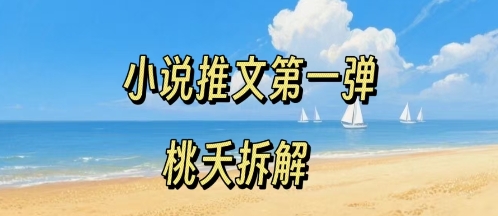 小说推文项目操作全流程第一弹，0粉就能做，门槛低非常适合新手-网创先锋