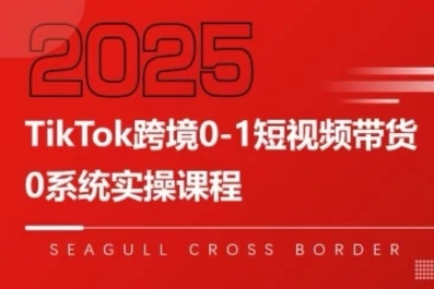 TikTok跨境0-1短视频带货，系统拆解TikTok跨境带货全链路，实现跨境可持续盈利-网创先锋