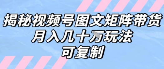 解密视频号图文矩阵带货，月入几个W的打法，可复制-网创先锋