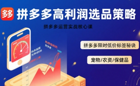 拼多多选品暴利技术实战课，拼多多高利润选品策略，拼多多限时低价标签秘诀-网创先锋