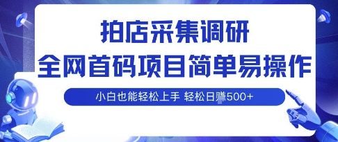 拍店采集调研，全网首码项目，简单易操作， 小白也能轻松上手，多账号操作，轻松日入5张【揭秘】-网创先锋