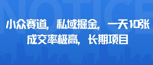 小众赛道，私域掘金，一天多张，成交率极高，长期项目-网创先锋