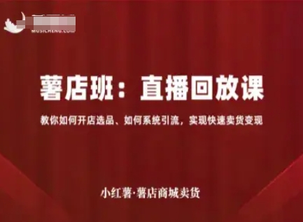 小红薯薯店商城卖货直播回放课，教你如何开店选品、如何系统引流，实现快速卖货变现-网创先锋