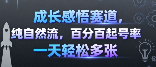 成长感悟赛道，纯自然流，百分百起号率 一天轻松多张-网创先锋