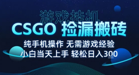8月最新游戏搬砖，CSGO纯挂G，不需要玩游戏，实现真挂G，月入1W+【揭秘】-网创先锋
