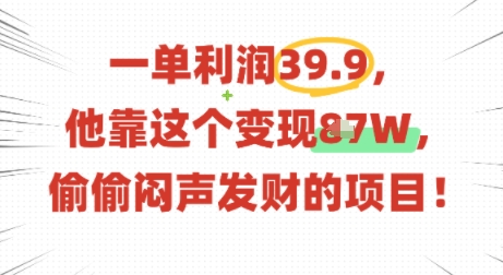 一单利润39.9，有人靠这个变现几十个，偷偷闷声发财的项目-网创先锋