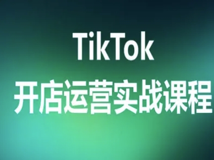 TikTok开店运营实战课程，TK跨境电商实操全流程-网创先锋
