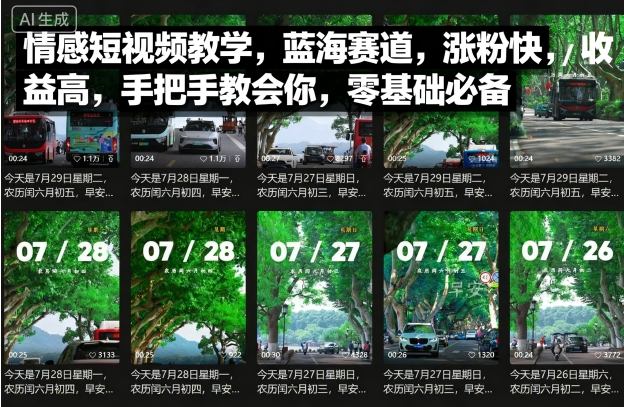 情感短视频教学，蓝海赛道，涨粉快，收益高，手把手教会你，零基础必备-网创先锋
