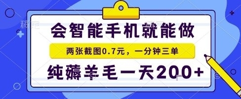 手机项目，二十秒一单，纯薅羊毛一天2张+做就有【揭秘】-网创先锋