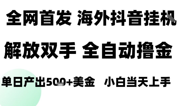 海外抖音无人直播，单日产出1.5k+，长期稳定，新手可玩，无脑操作【揭秘】-网创先锋