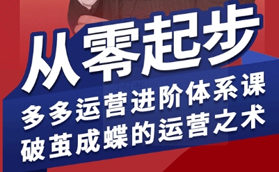 拼多多运营进阶系统课，从零起步，多多运营进阶体系课，破茧成蝶的运营之术（更新9月）-网创先锋