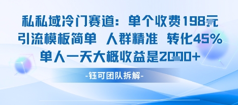 私域冷门赛道单个收费198米引流模板简单人群精准 45%的转化率单人一天大概收益多张-网创先锋