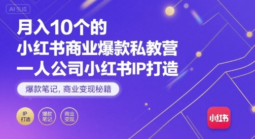 月入10个的小红书商业爆款私教营，一人公司小红书IP打造，爆款笔记，商业变现秘籍-网创先锋