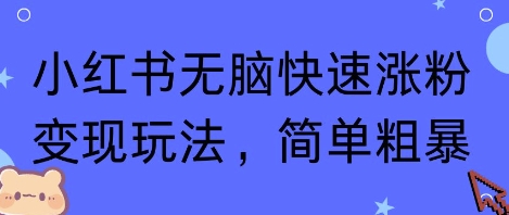 小红书无脑快速涨粉变现玩法，简单粗暴-网创先锋