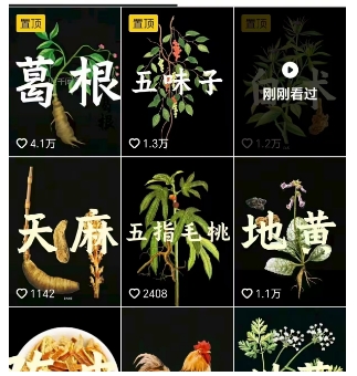 抖音中草药赛道，用AI做中草药故事视频，45条作品涨粉13W，橱窗带货猛猛出单-网创先锋