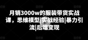 月销3000w的服装带货实战课,思维模型|实战经验|暴力引流|后端变现-网创先锋