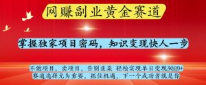 网创副业黄全赛道,掌握独家项目密码,知识变现快人一步,告别韭菜轻松实现单日变现1k+【揭秘】-网创先锋