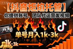 【抖音炬焰托管】你提供账号，团队代运营发视频，单号月入1k+【揭秘】-网创先锋