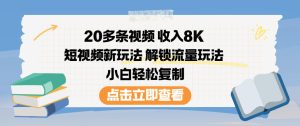 20多条视频收入8K，短视频新玩法，解锁流量玩法，小白轻松复制-网创先锋